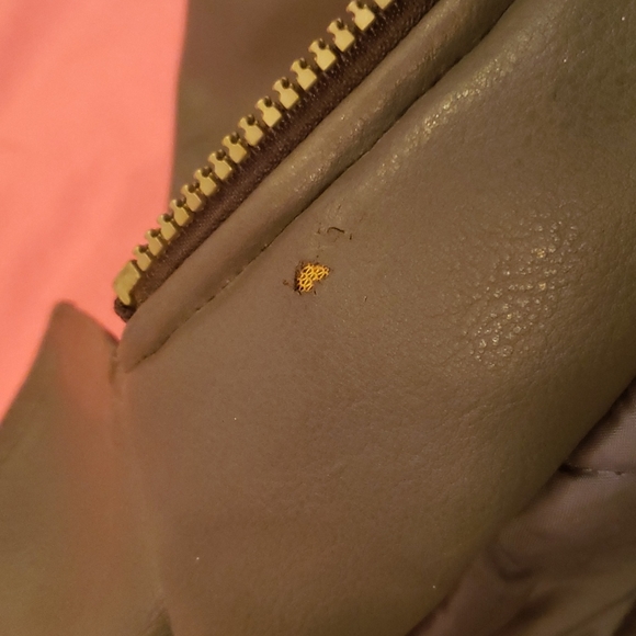 Avirex Leather Jacket Vintage size 3T ( kids) - Picture 8 of 11